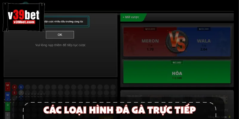 Các loại hình đá gà trên nền tảng đa dạng