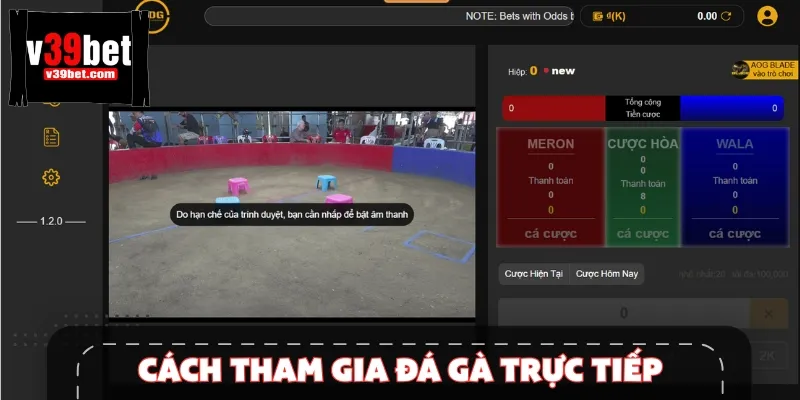 Chi tiết hướng dẫn cách tham gia đá gà online