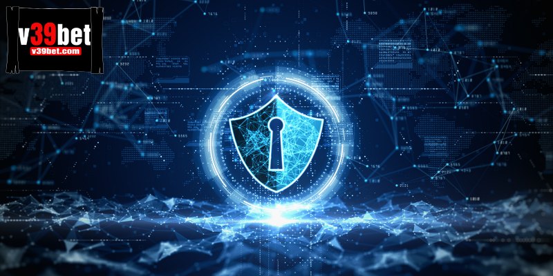 Mọi thông tin được mã hóa toàn diện, ngăn chặn truy cập trái phép.