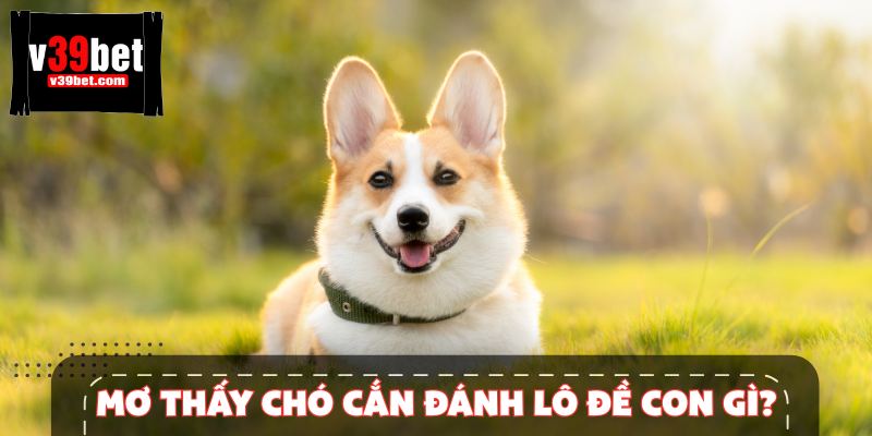Mơ Thấy Chó Cắn Đánh Lô Đề Con Gì? Luận Giải Chính Xác Nhất