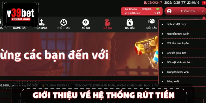 Nền tảng rút tiền được phát triển theo tiêu chuẩn chuyên nghiệp hàng đầu.